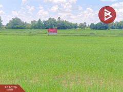 ขายที่ดิน เนื้อที่ 1 ไร่ 27.7 ตร.วา อุทุมพรพิสัย ศรีสะเกษ-202505280934081748399648746.jpg
