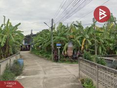 ขายด่วนที่ดินเปล่า เนื้อที่ 3 งาน 2 ตร.วา เชียงคำ พะเยา-202505281245361748411136230.jpg