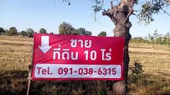 ขายที่ดิน 10 ไร่ แปลงหัวมุม ติดถนน พร้อมโฉนดครุฑแดง ราคาเพียง 7 ลบ. ถูกสุดในย่านนี้ อ.ลำปลายมาศ จ.บุรีรัมย์-202505281408571748416137273.jpg