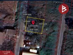 ขายที่ดิน เนื้อที่ 41 ตร.วา หนองจอก กรุงเทพมหานคร-202505281411461748416306679.jpg