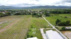 ที่ดินแบ่งขาย 50 และ 59 ตร.ว. เริ่มต้น 300,000 บาท น้ำไฟถนนคอนกรีตพร้อม!