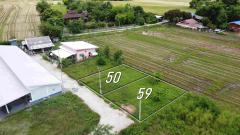 ที่ดินแบ่งขาย 50 และ 59 ตร.ว. เริ่มต้น 300,000 บาท น้ำไฟถนนคอนกรีตพร้อม!-202505281728001748428080532.jpg