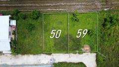 ที่ดินแบ่งขาย 50 และ 59 ตร.ว. เริ่มต้น 300,000 บาท น้ำไฟถนนคอนกรีตพร้อม!-202505281728011748428081577.jpg