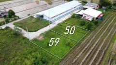 ที่ดินแบ่งขาย 50 และ 59 ตร.ว. เริ่มต้น 300,000 บาท น้ำไฟถนนคอนกรีตพร้อม!-202505281728021748428082844.jpg