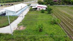 ที่ดินแบ่งขาย 50 และ 59 ตร.ว. เริ่มต้น 300,000 บาท น้ำไฟถนนคอนกรีตพร้อม!-202505281728051748428085410.jpg