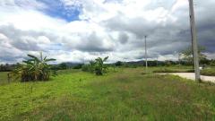 ที่ดินแบ่งขาย 50 และ 59 ตร.ว. เริ่มต้น 300,000 บาท น้ำไฟถนนคอนกรีตพร้อม!-202505281728061748428086431.jpg