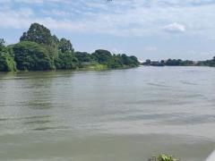 ขายที่ดินเปล่าทำเลทองติดริมแม่น้ำเจ้าพระยา ต.บ้านโพธิ์ อ.บางปะอิน จ.อยุธยา-202505290942381748486558527.jpg