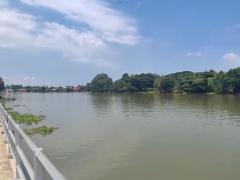 ขายที่ดินเปล่าทำเลทองติดริมแม่น้ำเจ้าพระยา ต.บ้านโพธิ์ อ.บางปะอิน จ.อยุธยา-202505290942391748486559676.jpg