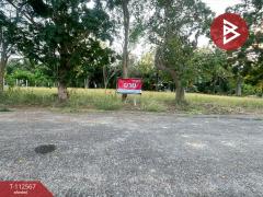 ขายที่ดิน เนื้อที่ 1 งาน บางคนที สมุทรสงคราม