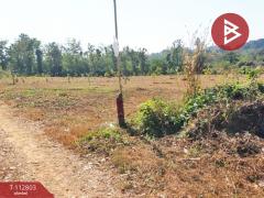 ขายที่ดิน เนื้อที่ 16 ไร่ 1 งาน 18.9 ตร.วา ลับแล อุตรดิตถ์-202505291127001748492820971.jpg