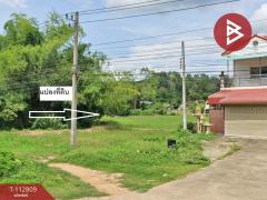 ขายที่ดิน เนื้อที่ 2 ไร่ 1 งาน 71 บ้านด่านนาขาม อุตรดิตถ์-202505291136221748493382644.jpg