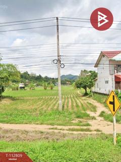 ขายที่ดิน เนื้อที่ 2 ไร่ 1 งาน 71 บ้านด่านนาขาม อุตรดิตถ์-202505291136241748493384370.jpg