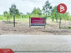 ขายที่ดิน-เนื้อที่-13-ไร่-2-งาน-30.6-ตร.วา-ท