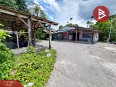 ขายบ้านเดี่ยวชั้นเดียว เนื้อที่ 1 งาน 30 ตร.วา นาเคียน นครศรีธรรมราช-202505291415021748502902850.jpg