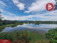 ขายที่ดิน เนื้อที่ 31 ไร่ 42.1 ตร.วา นาทราย นครศรีธรรมราช-202505291454101748505250311.jpg