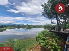 ขายที่ดิน เนื้อที่ 31 ไร่ 42.1 ตร.วา นาทราย นครศรีธรรมราช-202505291454121748505252651.jpg