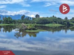 ขายที่ดิน เนื้อที่ 31 ไร่ 42.1 ตร.วา นาทราย นครศรีธรรมราช-202505291454141748505254535.jpg