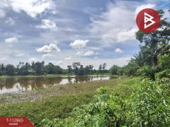 ขายที่ดิน เนื้อที่ 31 ไร่ 42.1 ตร.วา นาทราย นครศรีธรรมราช-202505291454151748505255311.jpg