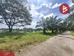 ขายที่ดิน เนื้อที่ 31 ไร่ 42.1 ตร.วา นาทราย นครศรีธรรมราช-202505291454161748505256086.jpg