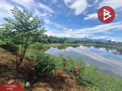 ขายที่ดิน เนื้อที่ 31 ไร่ 42.1 ตร.วา นาทราย นครศรีธรรมราช-202505291454171748505257743.jpg