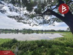 ขายที่ดิน เนื้อที่ 31 ไร่ 42.1 ตร.วา นาทราย นครศรีธรรมราช-202505291454201748505260574.jpg