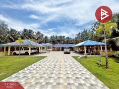 ขายบ้านเดี่ยวพร้อมที่ดิน เนื้อที่ 3 งาน 32 ตร.วา บางสะพาน ประจวบคีรีขันธ์-202505291458011748505481130.jpg