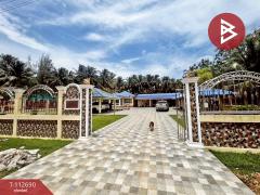 ขายบ้านเดี่ยวพร้อมที่ดิน เนื้อที่ 3 งาน 32 ตร.วา บางสะพาน ประจวบคีรีขันธ์-202505291458011748505481908.jpg