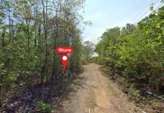 ขายที่ดิน 115 ไร่ บ.สหกรณ์ทุ่งใหม่ ซ.2 ใกล้สถานีไฟฟ้าแรงสูงเชียงใหม่