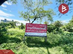 ขายที่ดิน เนื้อที่ 2 ไร่ 2 งาน 11.9 ตร.วา สุไหงโก-ลก นราธิวาส