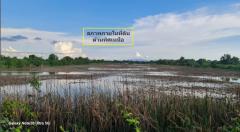 ขาย ที่ดิน อ.บางปะกง ฉะเชิงเทรา หลังจุดพักมอเตอร์เวย์ชลบุรี M7 ขาออก 30 ไร่ 3 งาน 32 ตรว เขตพัฒนาพิเศษ EEC ตัดสินใจให้ไว  อาจไม่ได้ราคาอีก-202505291724241748514264697.jpg