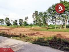 ขายที่ดิน เนื้อที่ 12 ไร่ 19 ตร.วา กุดรัง มหาสารคาม-202505300907321748570852764.jpg