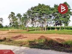 ขายที่ดิน เนื้อที่ 12 ไร่ 19 ตร.วา กุดรัง มหาสารคาม-202505300907331748570853371.jpg