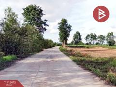 ขายที่ดิน เนื้อที่ 12 ไร่ 19 ตร.วา กุดรัง มหาสารคาม-202505300907341748570854657.jpg