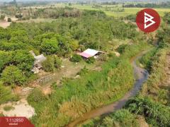 ขายที่ดิน เนื้อที่ 18 ไร่ 3 งาน 78 ตร.วา แม่จัน เชียงราย-202505300947531748573273066.jpg