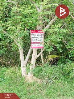ขายที่ดิน เนื้อที่ 2 ไร่ 16 ตร.วา เกาะพลับพลา ราชบุรี-202505301236451748583405429.jpg