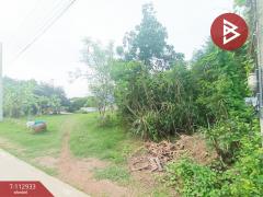 ขายที่ดิน เนื้อที่ 2 ไร่ 16 ตร.วา เกาะพลับพลา ราชบุรี-202505301236471748583407268.jpg