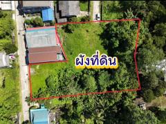 ขาย ที่ดิน ใกล้แยกเบญจมฯ นครศรีธรรมราชพื้นที่ 1 ไร่ 1 งาน 70.7 ตร.วา ติดถนนซอยทั้ง2ฝั่ง-202505301325221748586322818.jpg