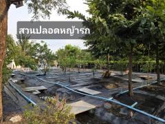 ขายบ้านพร้อมสวนเกษตรสไตล์คาเฟ่ สวยมาก ทุกอย่างพร้อม เข้าอยู่ได้เลย ใกล้พระปฐมเจดีย์-202505301354561748588096206.jpg