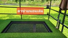 ขายบ้านพร้อมสวนเกษตรสไตล์คาเฟ่ สวยมาก ทุกอย่างพร้อม เข้าอยู่ได้เลย ใกล้พระปฐมเจดีย์-202505301354581748588098813.jpg