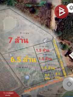 ขายที่ดิน เนื้อที่ 1 ไร่ 1 งาน 99 ตร.วา หนองรี ชลบุรี-202505301412581748589178809.jpg