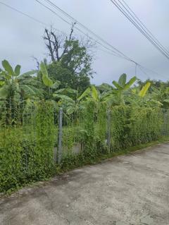 ขายที่ดินเปล่าถมแล้วในถนนลาดพร้าวซอย 48 กรุงเทพมหานคร-202505301652561748598776173.jpg