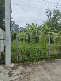 ขายที่ดินเปล่าถมแล้วในถนนลาดพร้าวซอย 48 กรุงเทพมหานคร-202505301653021748598782925.jpg