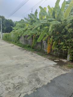ขายที่ดินเปล่าถมแล้วในถนนลาดพร้าวซอย 48 กรุงเทพมหานคร-202505301653081748598788909.jpg