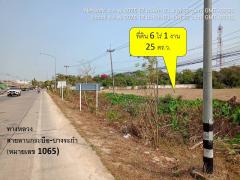 ขายด่วน ที่ดินทำเลดี ติดถนนใหญ่ลานกระบือ-บางระกำ พิษณุโลก-202505310849451748656185117.jpg