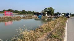 ขายที่ดิน 16 ไร่ 120 ตรว. ลำลูกบัว ดอนตูม นครปฐม-202505310946561748659616512.jpg