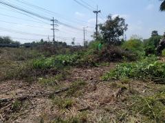 ขายที่ดิน 120 ตรว. ไผ่หูช้าง บางเลน นครปฐม-202505310949481748659788410.jpg