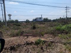 ขายที่ดิน 120 ตรว. ไผ่หูช้าง บางเลน นครปฐม-202505310949491748659789041.jpg