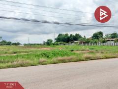 ขายที่ดิน เนื้อที่ 5 ไร่ ดอนทอง พิษณุโลก-202505311147511748666871139.jpg