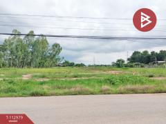 ขายที่ดิน เนื้อที่ 5 ไร่ ดอนทอง พิษณุโลก-202505311147521748666872951.jpg