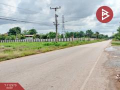 ขายที่ดิน เนื้อที่ 5 ไร่ ดอนทอง พิษณุโลก-202505311147531748666873560.jpg